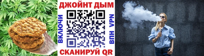 мориарти состав  Сясьстрой  Cannafood марихуана  кракен как войти 