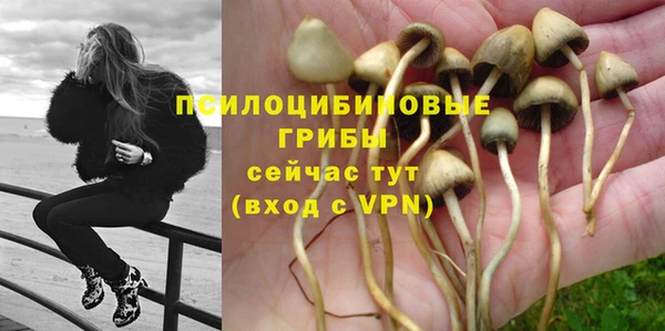 скорость mdpv Осинники