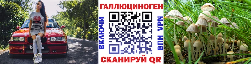 что такое   OMG   Псилоцибиновые грибы Psilocybe  Сясьстрой 